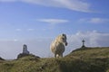 On Llanddwyn Island Royalty Free Stock Photo