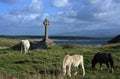 On Llanddwyn Island Royalty Free Stock Photo