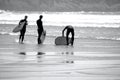 Surfers walking back from the water`s edge at Llangennith Beach on the Gower Peninsula