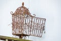 Rusted bird cage in the Texas hill country