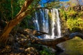 Llanos the Cortes waterfall in Costa Rica Royalty Free Stock Photo
