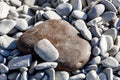 Llarge brown stone among the sea of pebbles