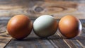 Llight blue and brown eggs. Easter Festival concepts. Araucana egg and the egg of an ordinary chicken Royalty Free Stock Photo