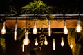 Llight bulbs - Image