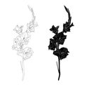 Lline-art image of a flower gladiolus. . Flower bud and leaf in black isolated on white background. Royalty Free Stock Photo