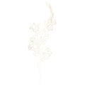Lline-art image of a golden flower gladiolus. Flower bud and leaf isolated on white background.