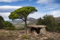 Llit de la Generala Dolmen in Roses, Alt Empodra, Catalonia