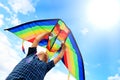Llittle boy flies a kite in the sky Royalty Free Stock Photo