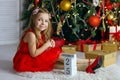 Little girl celebrates Christmas