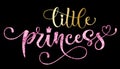 Llittle princess quote. Hand drawn modern calligraphy baby shower lettering logo phrase Royalty Free Stock Photo