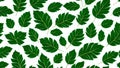 lllustration seamless pattern natural green leaf, white background.