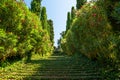 Lloret de mar resort. Santa Clotilde Gardens. Vintage stairs