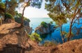 Lloret de Mar, Spain. View on Mediterranean sea through pine trees in Costa Brava. Cliff and rocks on sea coast. Picturesque Royalty Free Stock Photo