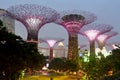 Illuminated futuristic Supertrees at Gardens by the Bay in Singap