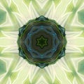 Blossom green lightning Illustration abstract kaleidoscope art wallpaper design and background