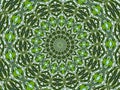 Llustration abstract spherical kaleidoscope shades of emerald art hatching effect