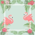 llustration of a flamingo. illustration of a flamingo. flamingo with flowers, vector illustration