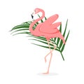 llustration of a flamingo. illustration of a flamingo. flamingo with flowers, vector illustration