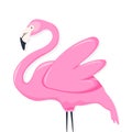 llustration of a flamingo. illustration of a flamingo. flamingo with flowers, vector illustration