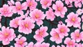 llustration seamless pattern floral, pink sakura flowers wallpaper.