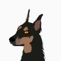 llustration vector of doberman breed dog