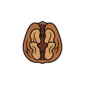 Llustration of a walnut half displaying a symmetrical brain like Royalty Free Stock Photo
