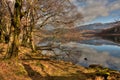Llyn Dinas reflections Royalty Free Stock Photo