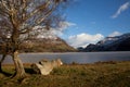 Llyn Nantlle Uchaf