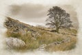 Llyn y Dywarchen, and Snowdon digital watercolor