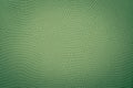 Green Neutral Snake Skin Texture