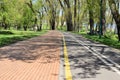 Lmodern bike path in the park Royalty Free Stock Photo