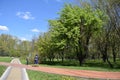 Lmodern bike path in the park Royalty Free Stock Photo