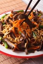 Lo mein noodles with beef and black fungus macro on a plate. ver