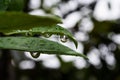 Lo que la lluvia me dejÃÂ³