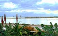 Lo stagnone, Marsala, Sicily, and the Windmills