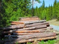 A load of firewood ready to be picked up