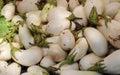 Freshly harvested organic white aubergines