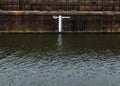 Load line marks and lines on a ship Royalty Free Stock Photo