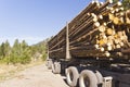 Load of logs on logging truck Royalty Free Stock Photo