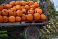 Load of Pumpkins on a Trailer with Corn Shucks Royalty Free Stock Photo