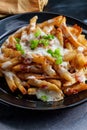 Loaded Bacon Ranch Fries