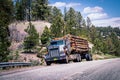 _Loaded log truck parked beside highway on steep incline surrounded by pine forests