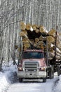 Loaded logging truck driving on road Royalty Free Stock Photo