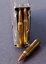 A loaded rifle magazine with .223 caliber bullets with a single hollow point bullet next to it Royalty Free Stock Photo