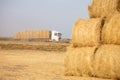 Loaded with rolled haystacks big white truck in background, large golden hay rolls in field in foreground. Bountiful rye