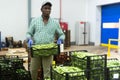 Loader stacks crates of beans in factory warehouse