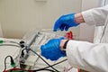 Loading the agarose gel with samples for the separation of DNA fragments for electrophoresis Royalty Free Stock Photo