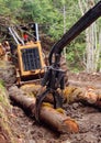 Loading arm with Skidder Royalty Free Stock Photo