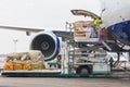 Loading cargo into the aircraft before departure Royalty Free Stock Photo