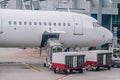 Loading cargo on the plane in airport. Royalty Free Stock Photo